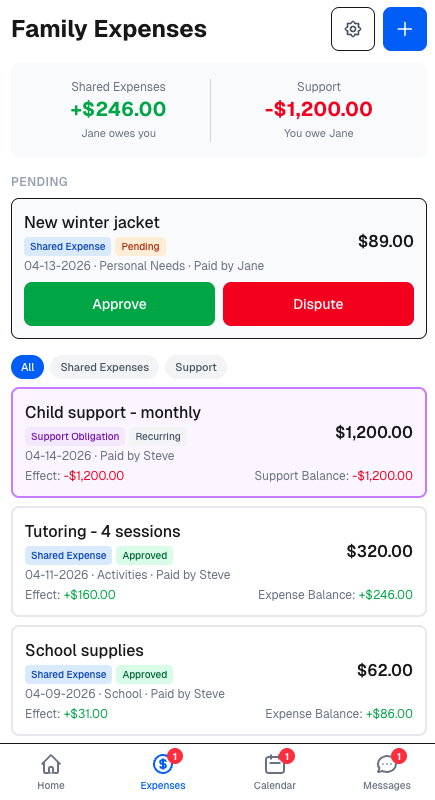 FairLedger expense ledger showing pending approvals, confirmed transactions with running balance, and support obligations
