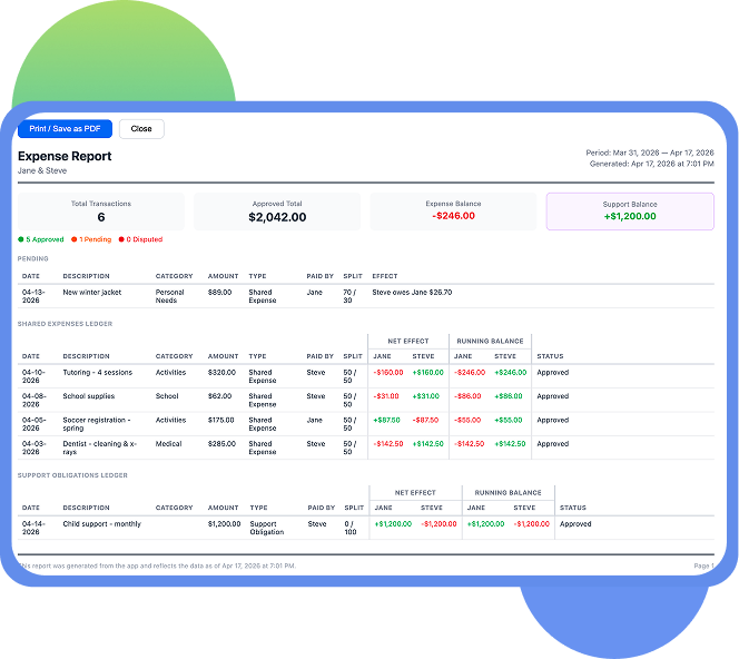 Professional Expense Report View